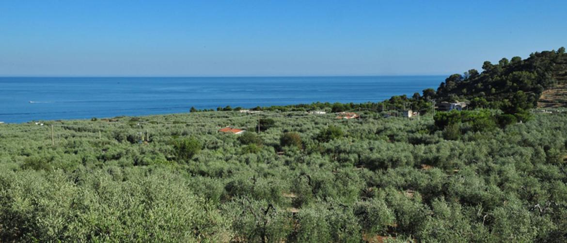 Camping Fontana Delle Rose Маттината Экстерьер фото
